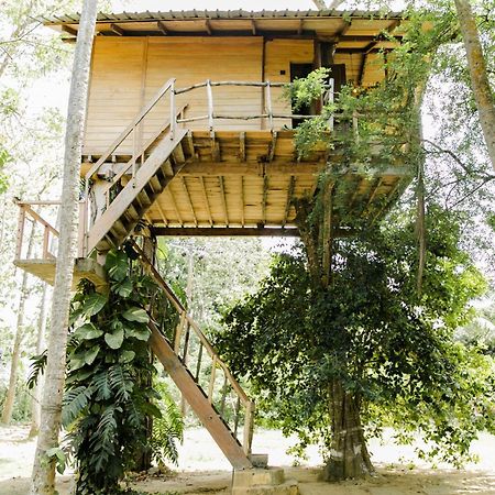 Nuga Eden Tangalle Ngoại thất bức ảnh