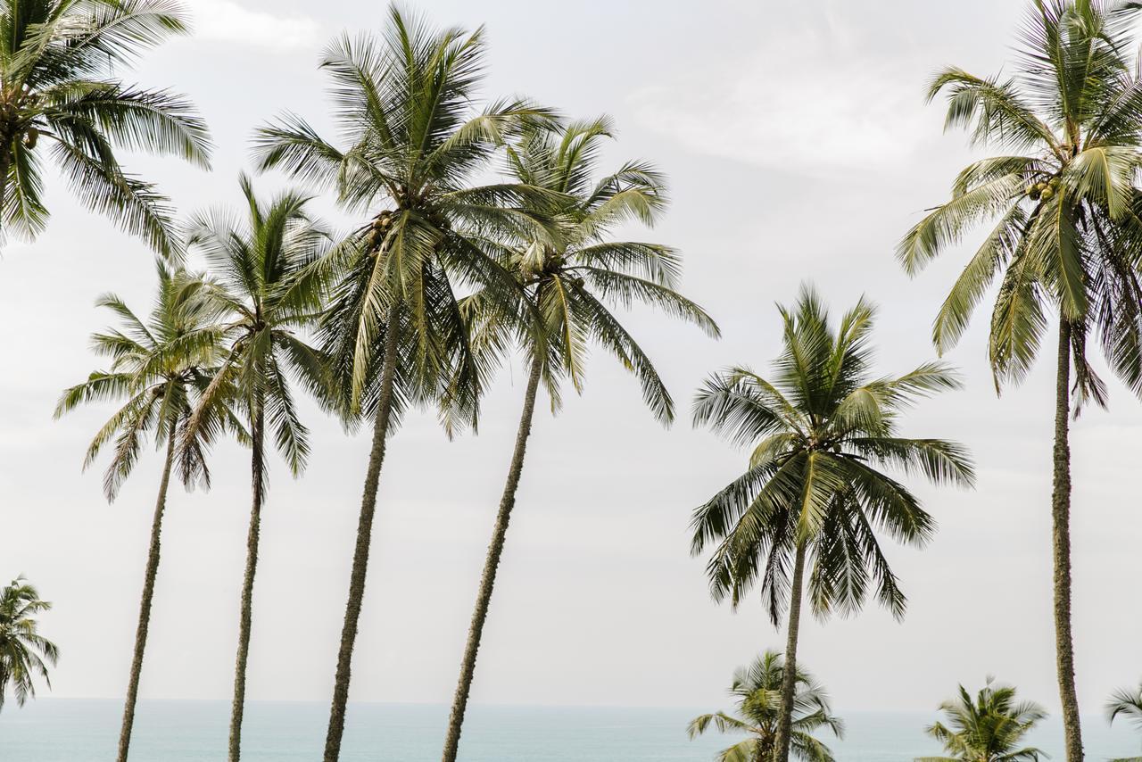 Nuga Eden Tangalle Ngoại thất bức ảnh